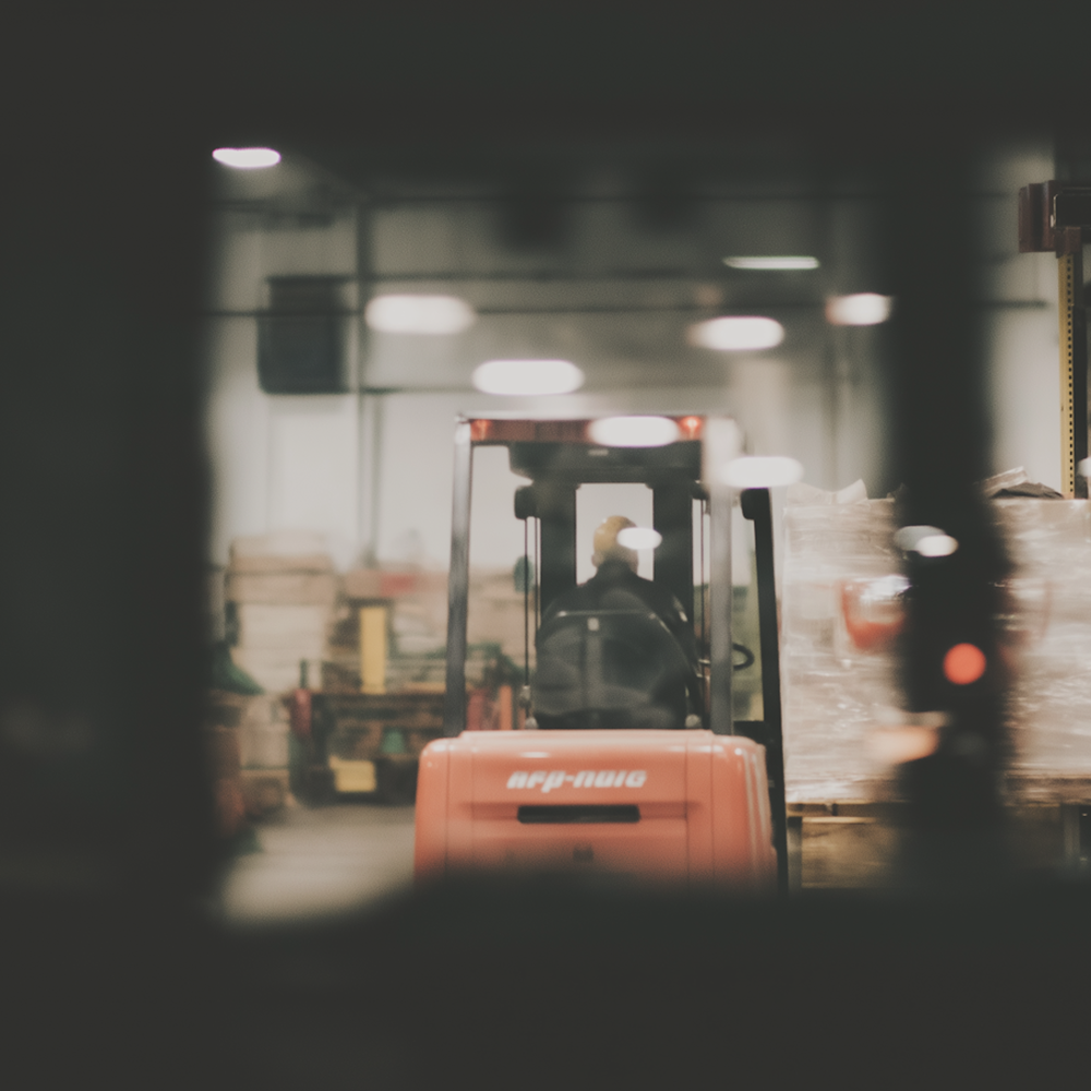 specialized-solutions-customs-clearing-forwarding